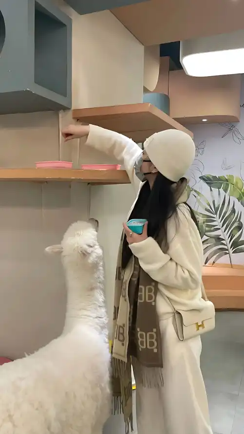 专干老肥熟女视频网站_哪个平台可以买足球赛事_日本一本高清中文字幕视频